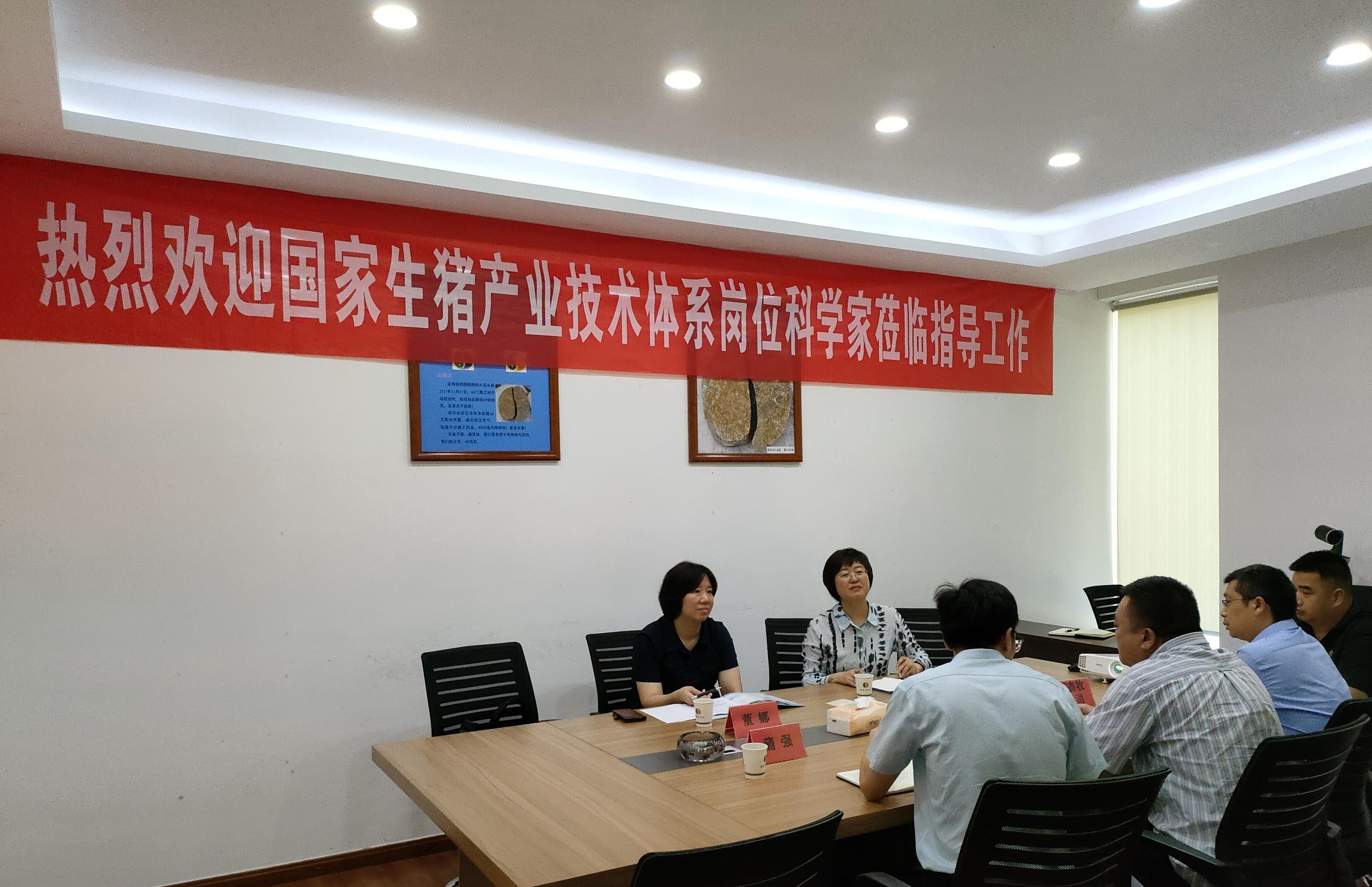 專(zhuān)家指導(dǎo)促發(fā)展  砥礪前行正當(dāng)時(shí)<br/>---國(guó)家生豬產(chǎn)業(yè)技術(shù)體系崗位科學(xué)家來(lái)我司指導(dǎo)交流